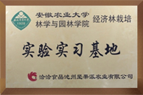 安農大實驗實習国产精品海角社区