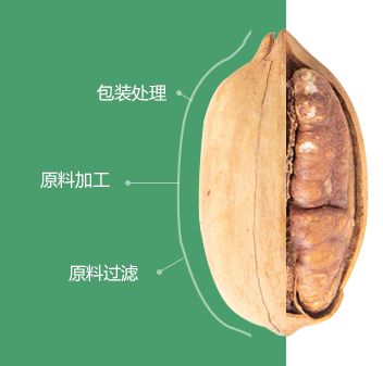 碧根果海角论坛最新入口初加工
